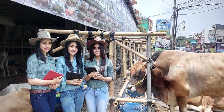 Memilih dan Memperlakukan Hewan Qurban