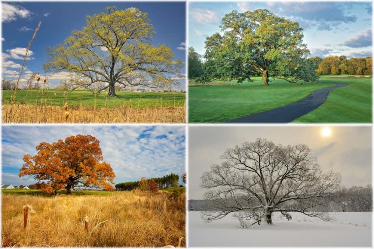 Renungan Gamer : Penyesalan Gamer Musiman