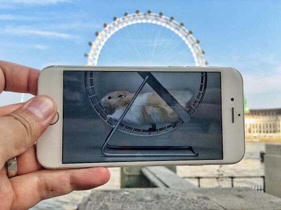 Foto - Foto Kocak Perpaduan Antara Obyek Dunia Nyata dan Smartphone