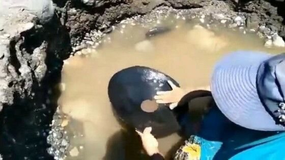Butiran Emas Muncul di Pantai Maluku, Ada Potensi Kerusakan Alam