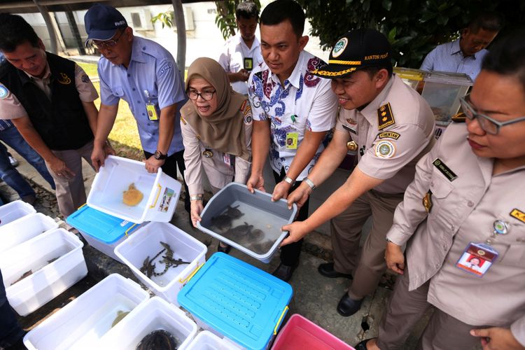 buaya-hingga-ular-ditemukan-di-dalam-koper-penumpang-di-bandara-soekarno-hatta