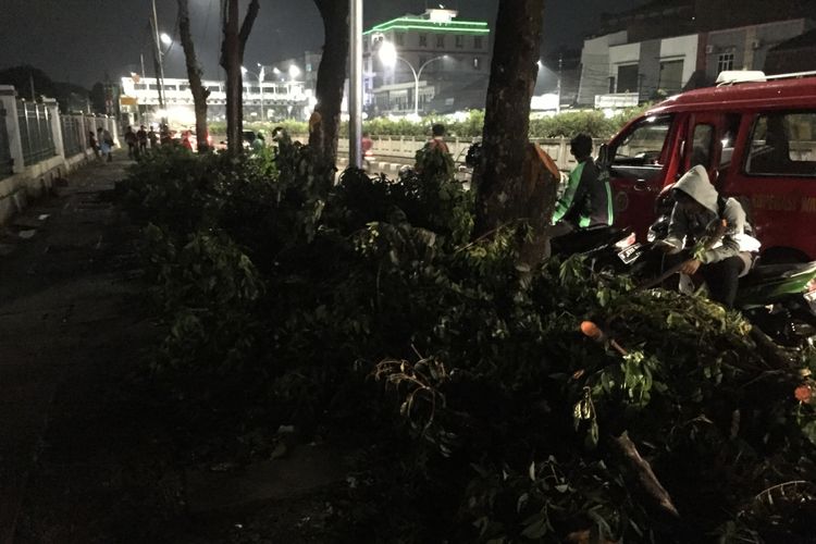 Sampah Pohon Dibiarkan di Trotoar Stasiun Pasarminggu untuk Usir Ojek, Kenyataannya