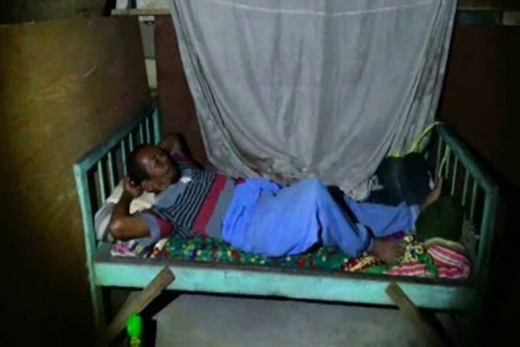 Ini Dia Si Kliwon, Hewan Qurban Pilihan Pak Jokowi !