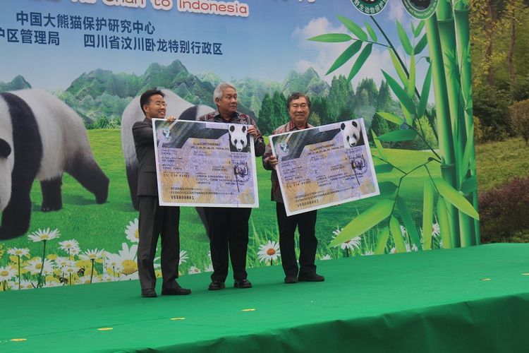 China Adakan iPesta Perpisahani untuk Panda Indonesia Beri 