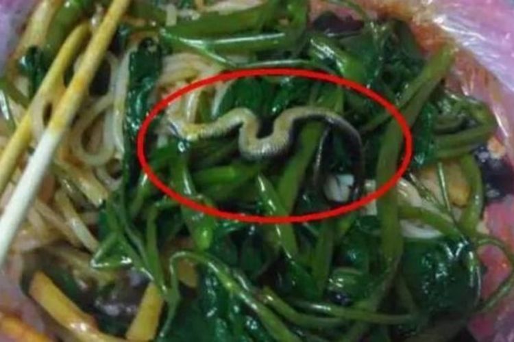 Ada Ular dalam Mie Bikin Restoran Ini Ditutup Sementara