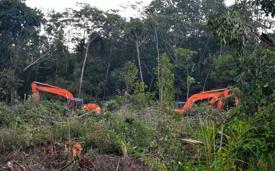 FOTO: Inilah Wajah Hutan Kalimantan yang Sesungguhnya (Miris Gan)