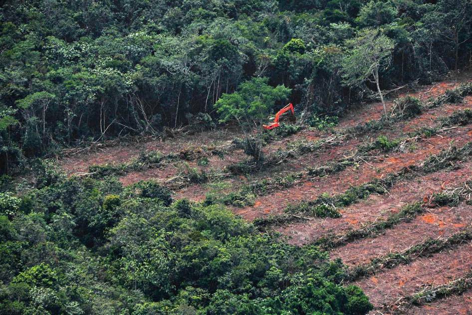FOTO: Inilah Wajah Hutan Kalimantan yang Sesungguhnya (Miris Gan)