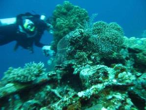 Peninggalan Purbakala Dalam Laut Dicuri