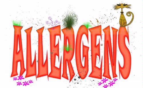 Alergi banyak diderita orang kaya gan!!