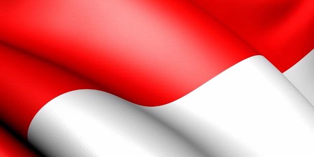 Setujukah Anda kalau Bahasa Indonesia jadi bahasa internasional?