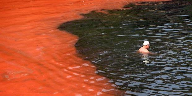 &#91;Mirip 10 Tulah Mesir&#93; Air Berubah Merah, Australia Tutup Pantai