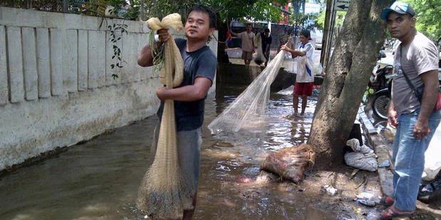 &#91;Berita&#93; Puluhan Warga Menjala Ikan Mujair di Pluit