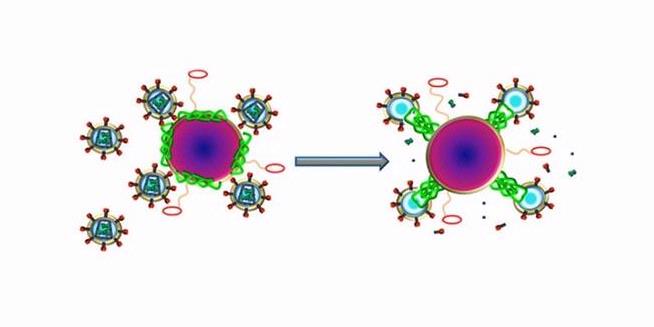 &#91;Breakthrough&#93; Racun Lebah Mampu Bunuh HIV, Mencegah &amp; Menyembuhkan AIDS