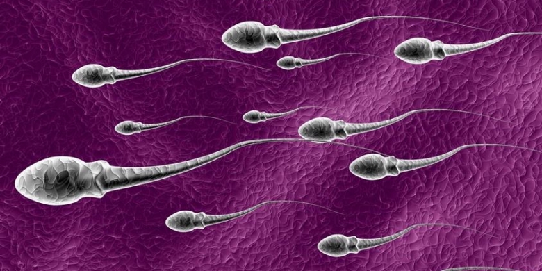 Pengaruh Kondisi Sperma pada Usia Pria