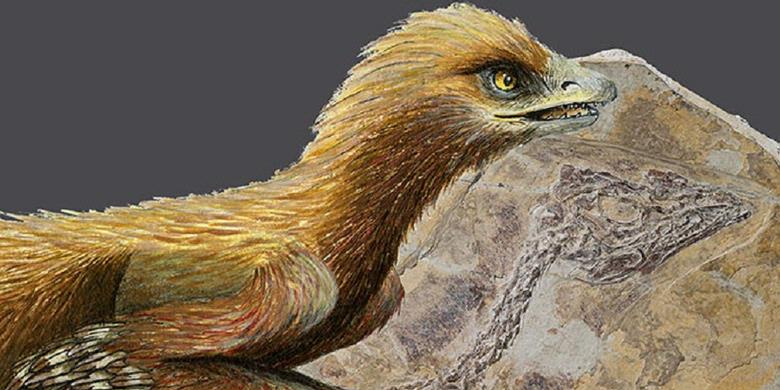 Inilah Spesies Burung Paling Purba di Muka Bumi