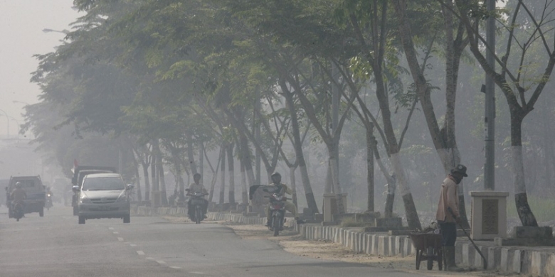 Tersangka Kasus Pembakaran Hutan Riau Jadi 10 Orang