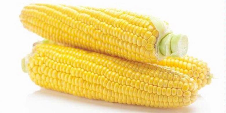 mahasiswa-surabaya-inovasikan-varian-makanan-berbahan-jagung