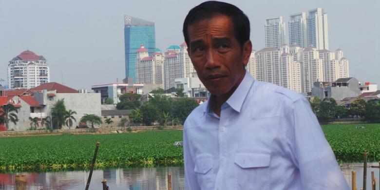 Jokowi Akan Tanam 10,000 Pohon Mangga