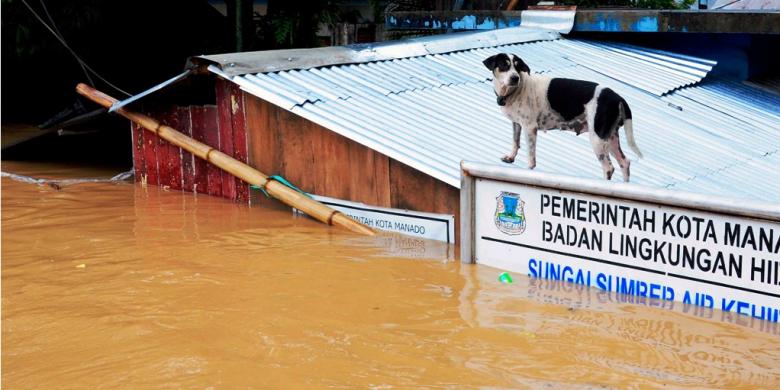 BANJIR dimana-mana, salah siapa ?