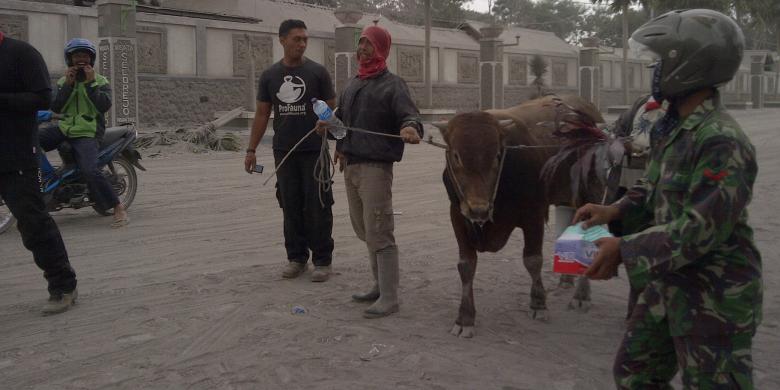Beredar di &quot;BBM&quot; Kelud Meletus Lagi, Pengungsi di Malang Resah