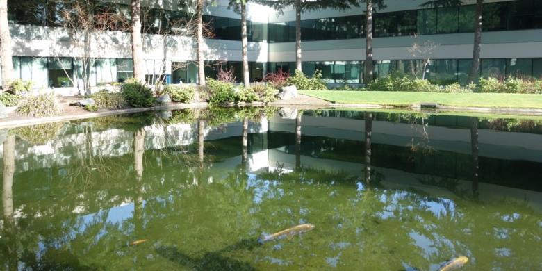 Kantor Pusat Microsoft dan Misteri Gedung Nomor 7