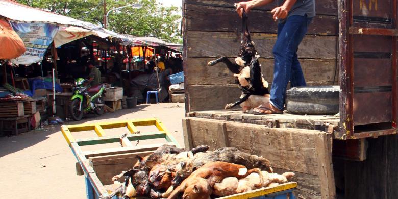 &#91;BERITA ANJING&#93; Di Manado, Anjing Mati Dijual Kembali untuk Dikonsumsi