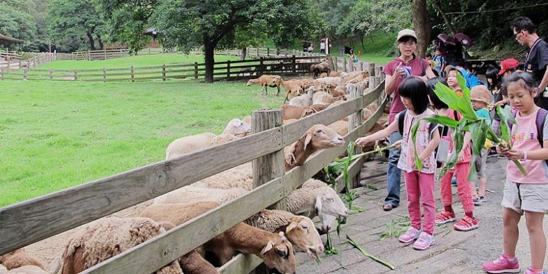 Taiwan Tawarkan Destinasi Agrowisata