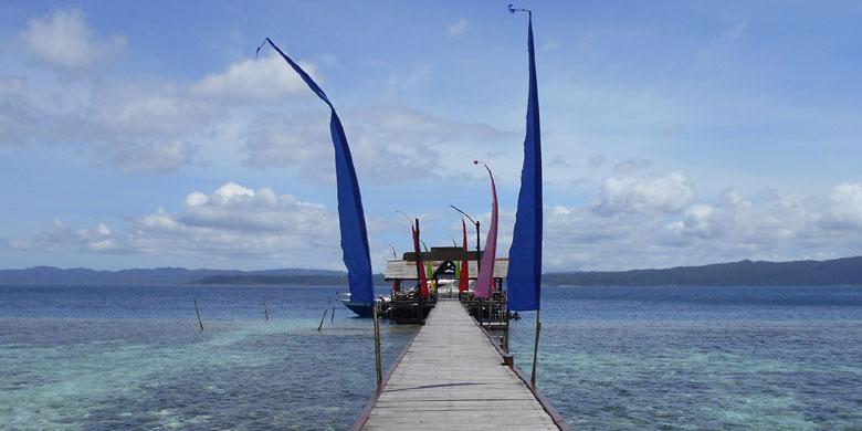 JANGAN mati dulu sebelum lihat Kepulauan Raja Ampat