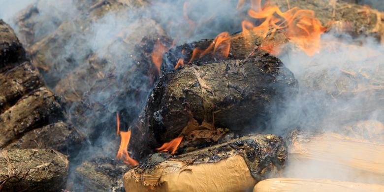 nyimengg-bareng100-kg-ganja-dan-10-kg-sabu-dibakar-di-lampung