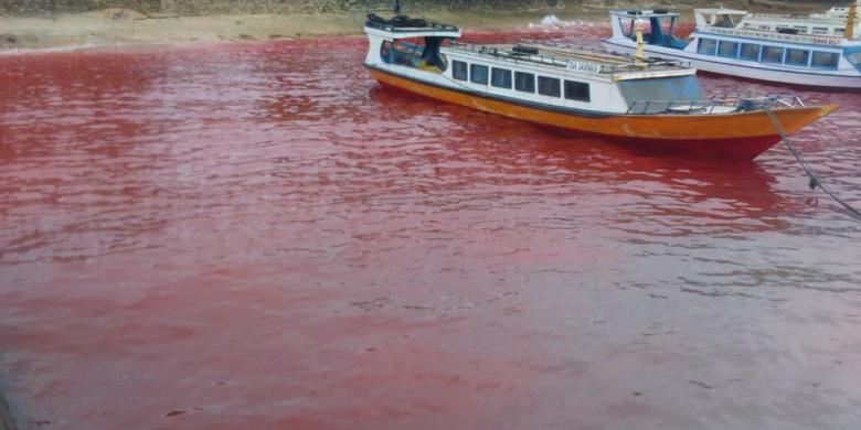 Warga Gempar di Maluku Tengah, Warna Air Laut Berubah Jadi Merah seperti Darah