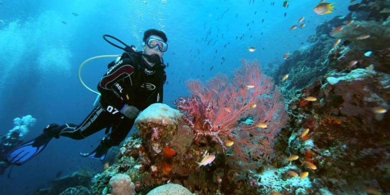 Raja Ampat dan TN Komodo Masuk Destinasi Snorkeling Terbaik di Dunia