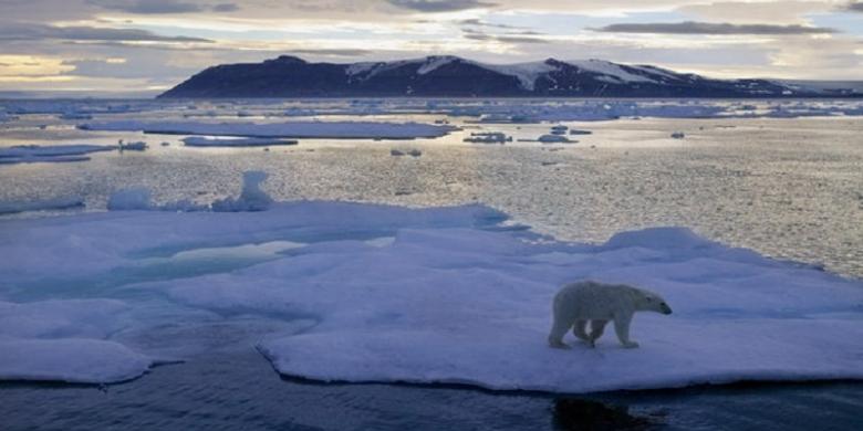 Politisi Norwegia Sarankan agar Pengungsi Dikirim ke Kepulauan Arktik yang Terpencil