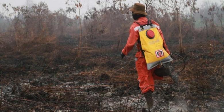 Terkait Kebakaran Hutan, Anak Usaha Sampoerna Agro Digugat Rp 1 Triliun