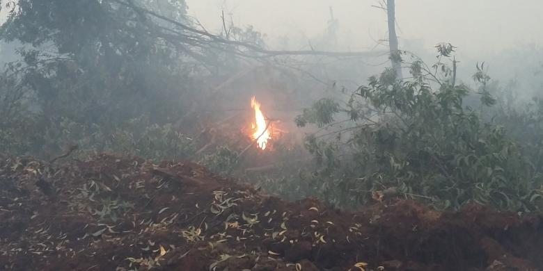 hujan-merata-titik-api-berkurang-lebih-dari-70-persen