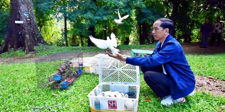 Dibeli di Pasar Pramuka, Ratusan Burung Dilepaskan Jokowi di Kebun Raya Bogor