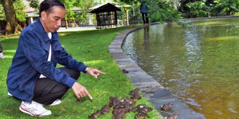 Jokowi Taklukkan Donald Trump, Hillary Clinton, hingga Lionel Messi