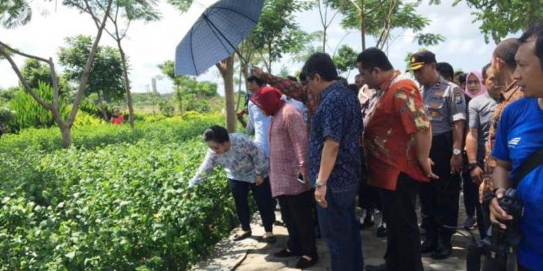 setelah-kodok-megawati-dan-risma-lanjut-bicara-soal-bunga