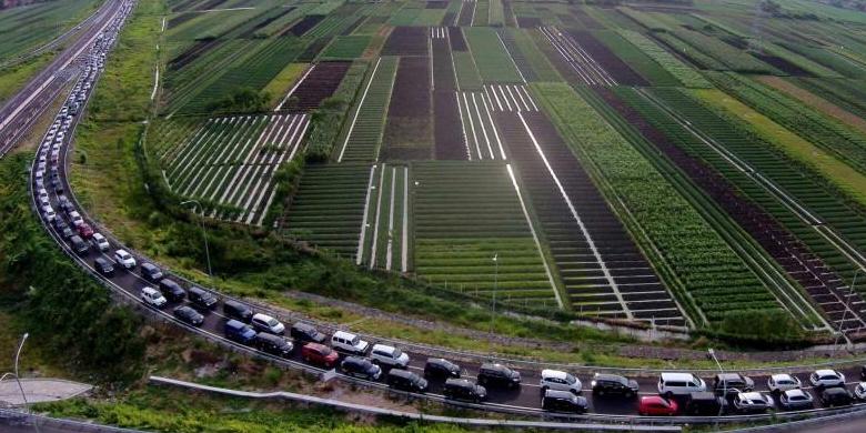 12-orang-meninggal-dunia-karena-macet-horor-di-brebes-salah-siapa