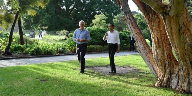 Diplomasi Jalan Pagi ala Presiden Jokowi dan PM Turnbull