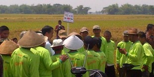 "Pak Jokowi Pasti Bolehin Kok"