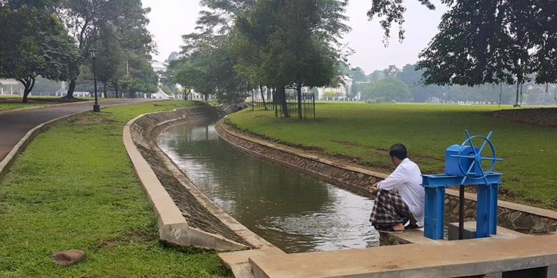 Bersarung dan Berkemeja Putih, Jokowi Asyik Kasih Makan Ikan di Istana