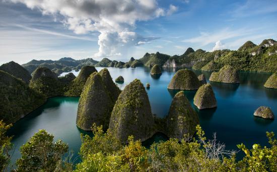 Papua : Jangan Curi Harta Kami !
