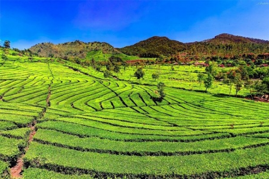 Habiskan Liburan di Bandung dengan Mengunjungi 5 Wisata Alam Ini