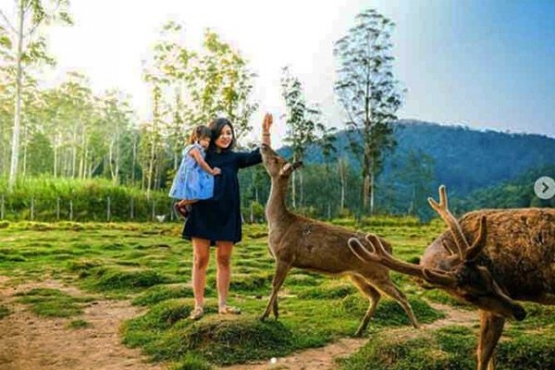 Habiskan Liburan di Bandung dengan Mengunjungi 5 Wisata Alam Ini