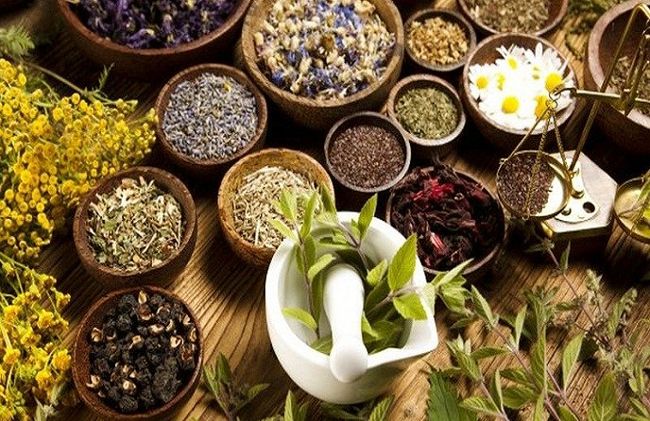 Hati-hati dalam Memilih Obat Herbal !!