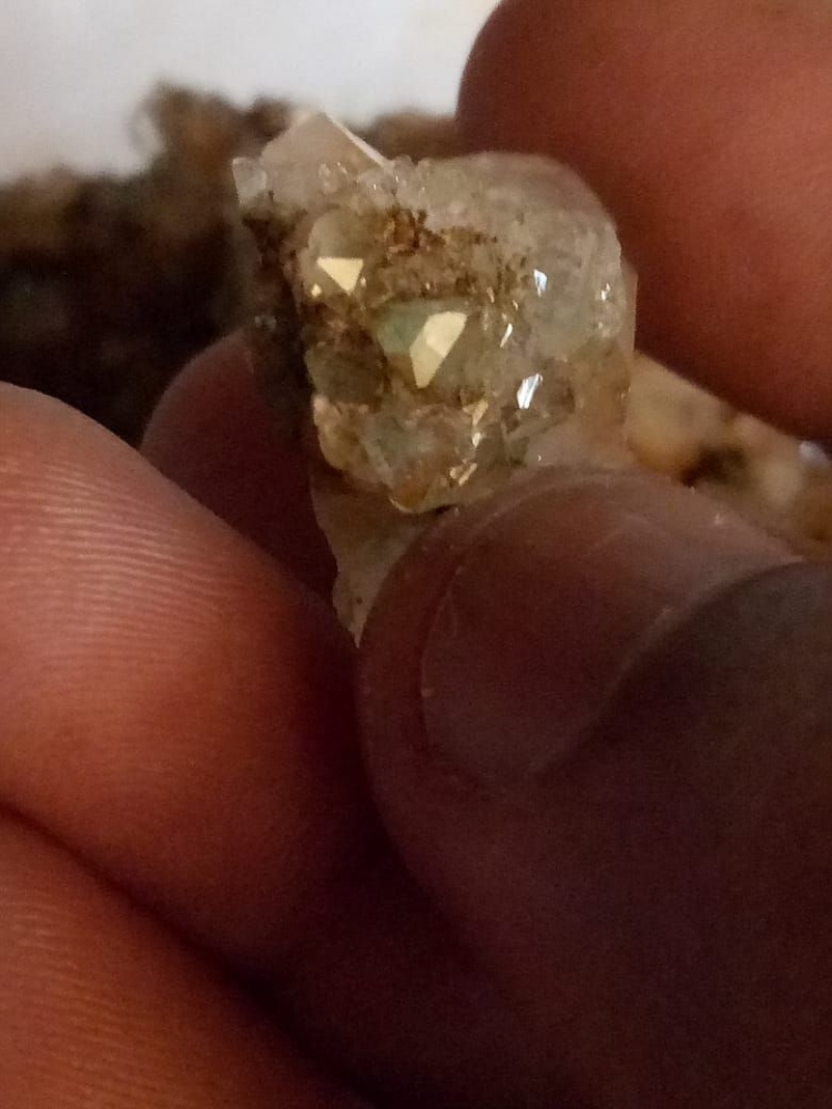 Berita Terkini Kaskuser Viral, Intan Mentah Menjadi Permata Di Forum Kompasianer