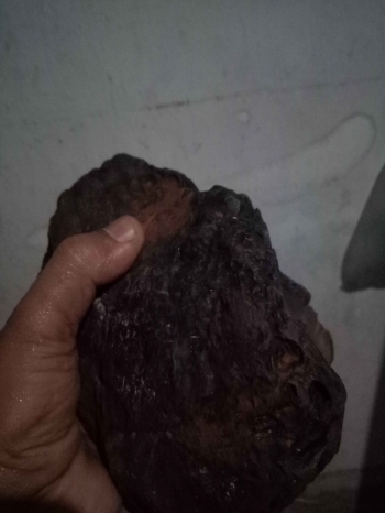 Viral Penemuan Baru Batu Langka dari Langit Yaitu Meteorit