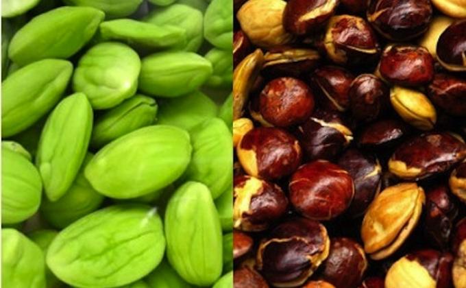 Faktor yang menyebabkan Parfum cepat atau lambat hilang Wanginya