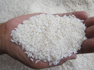 Cara praktis bedakan beras asli & beras campur BIJIH PLASTIK versi kreasi Kaskuser