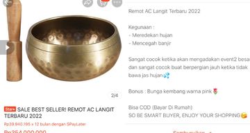 Viral Online Shop Jual 'Remot AC Langit' Senilai Rp345 Juta, 